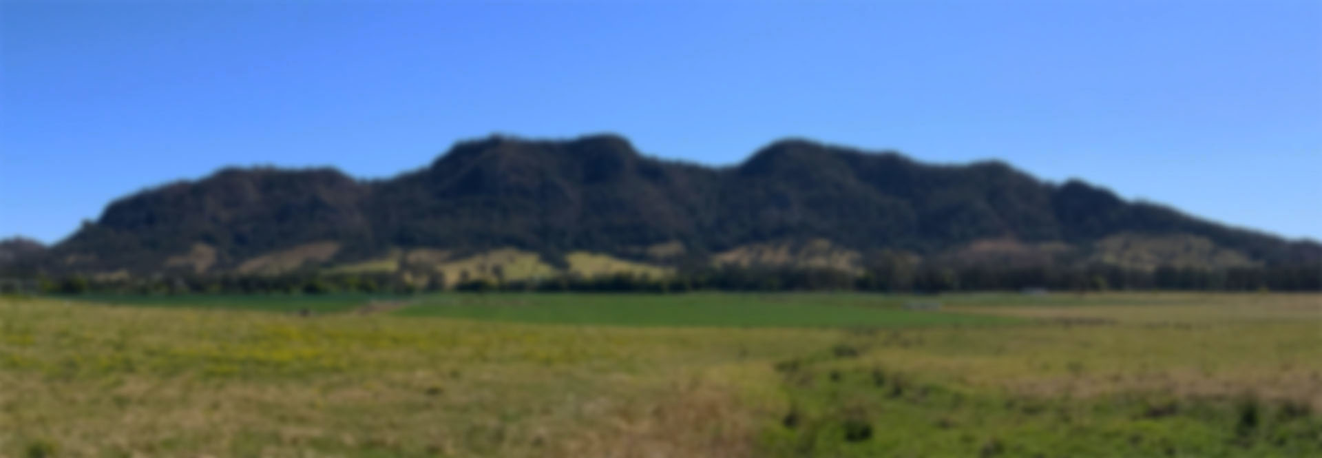 Banner 3